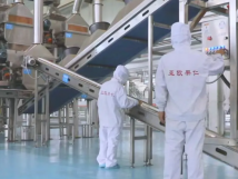 2025年的第一個月，承德亞歐果仁有限公司在山杏產(chǎn)業(yè)的道路上持續(xù)奮進，展現(xiàn)出蓬勃的發(fā)展活力。